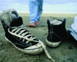 10p51.gif