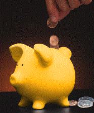 yellow piggy