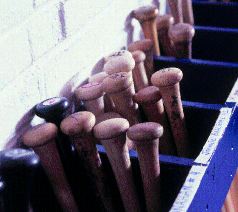 06p32.jpg
