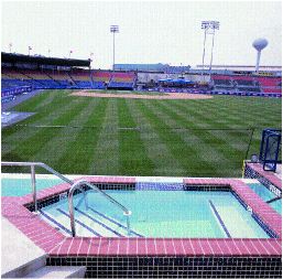 06p34.jpg