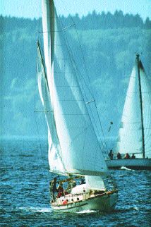 02p48.jpg